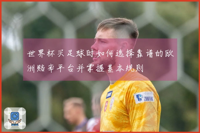 世界杯买足球时如何选择靠谱的欧洲赔率平台并掌握基本规则