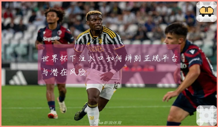 世界杯下注入口如何辨别正规平台与潜在风险