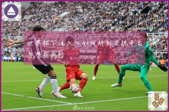 世界杯下注入口如何辨别正规平台与潜在风险