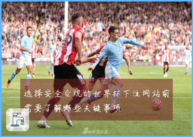 选择安全合规的世界杯下注网站前需要了解哪些关键事项