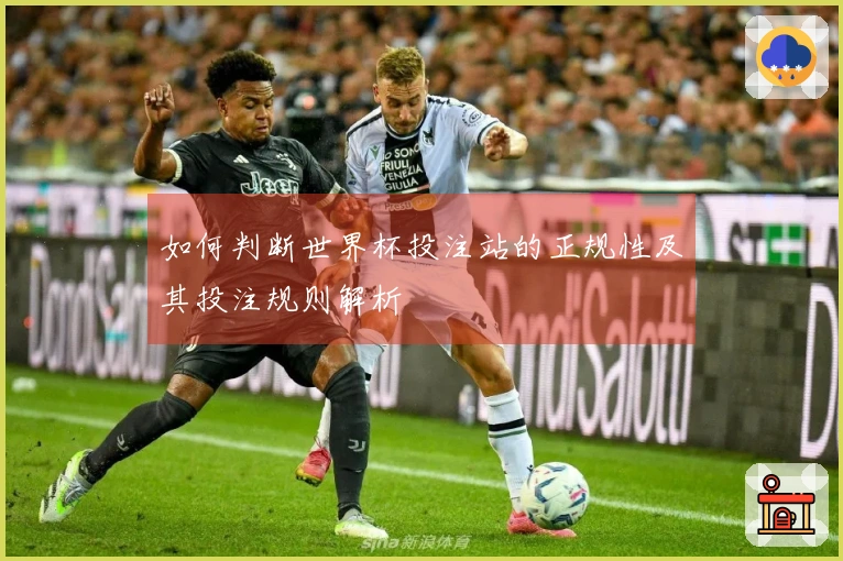 如何判断世界杯投注站的正规性及其投注规则解析