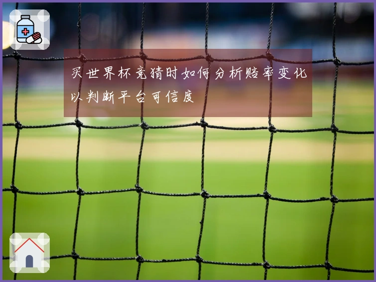 买世界杯竞猜时如何分析赔率变化以判断平台可信度