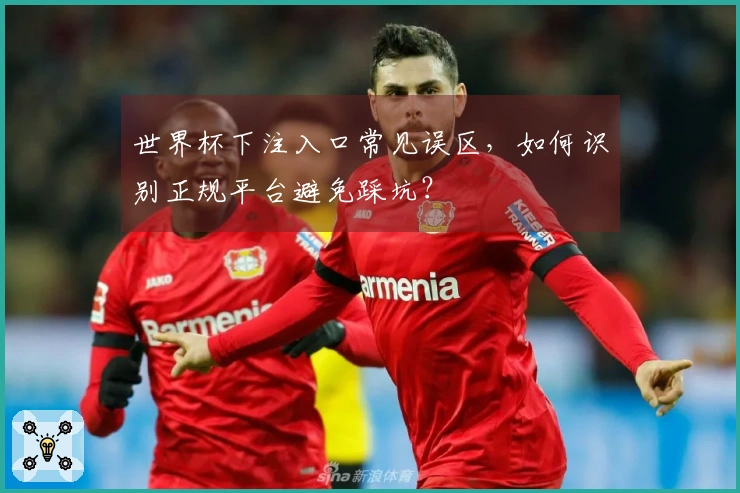 世界杯下注入口常见误区，如何识别正规平台避免踩坑？