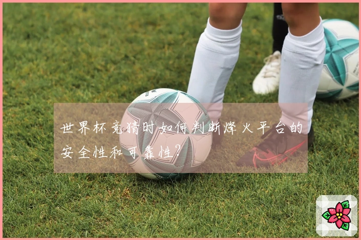 世界杯竞猜时如何判断烽火平台的安全性和可靠性？
