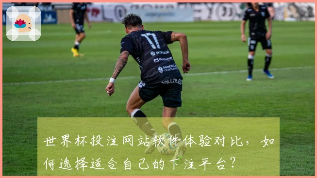 世界杯投注网站软件体验对比，如何选择适合自己的下注平台？