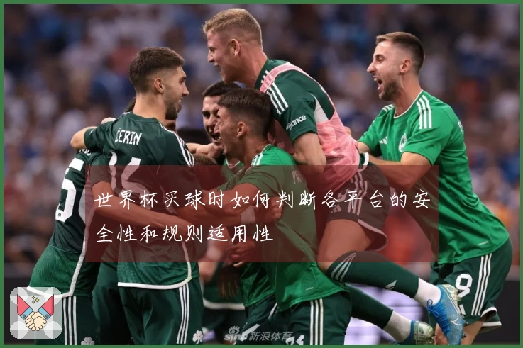世界杯买球时如何判断各平台的安全性和规则适用性