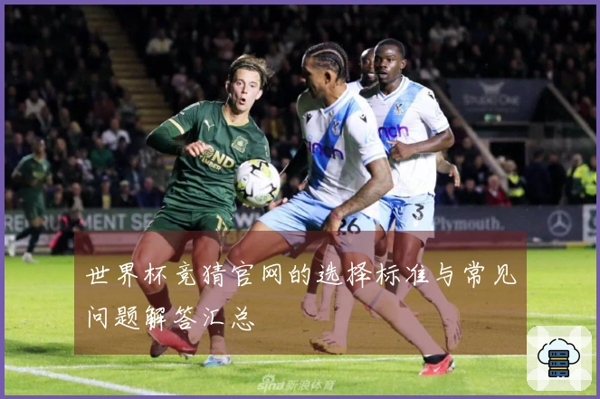 世界杯竞猜官网的选择标准与常见问题解答汇总
