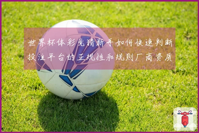 世界杯体彩竞猜新手如何快速判断投注平台的正规性和规则厂商资质