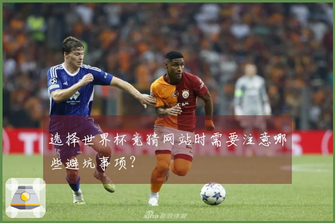 选择世界杯竞猜网站时需要注意哪些避坑事项？