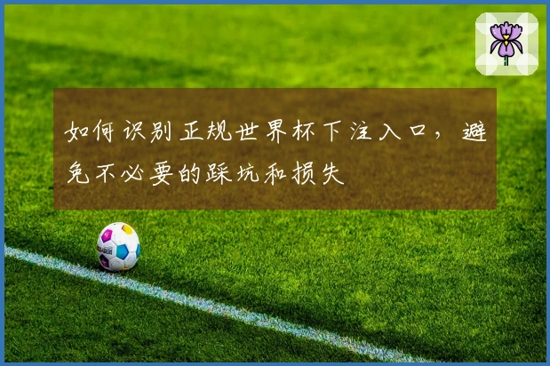 如何识别正规世界杯下注入口，避免不必要的踩坑和损失