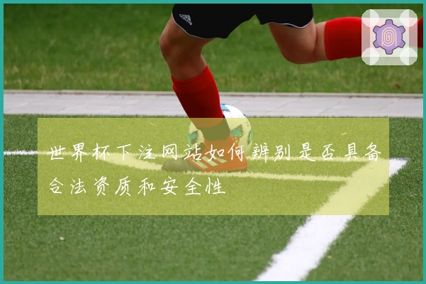 世界杯下注网站如何辨别是否具备合法资质和安全性