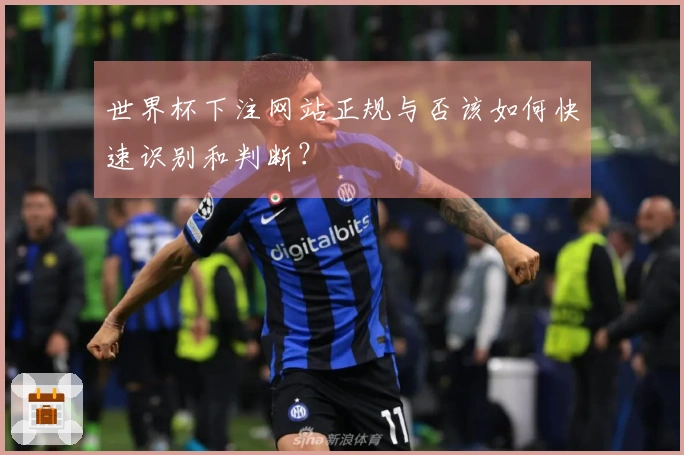 世界杯下注网站正规与否该如何快速识别和判断？