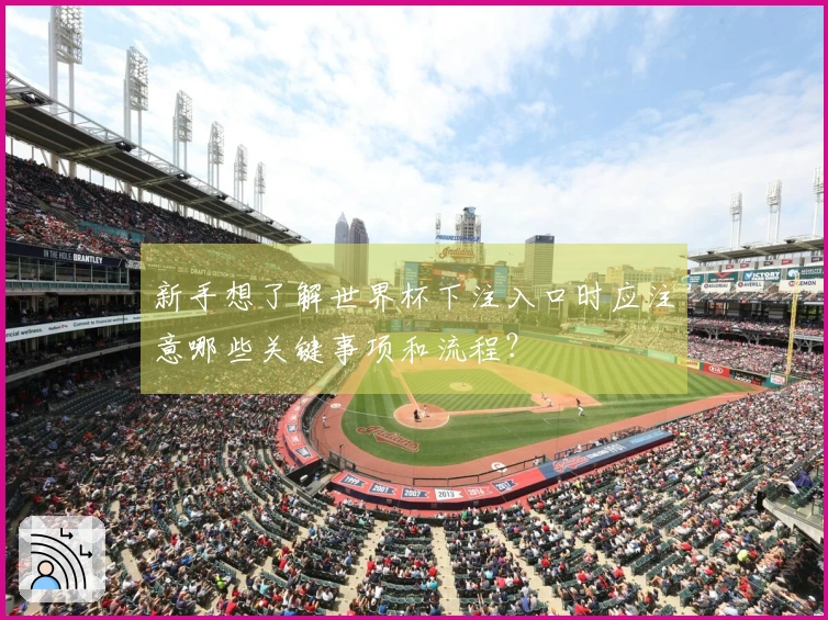 新手想了解世界杯下注入口时应注意哪些关键事项和流程？