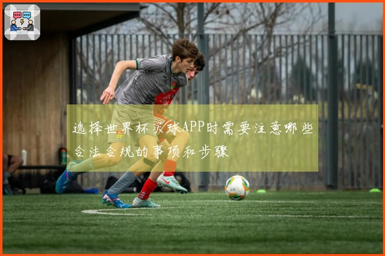 选择世界杯买球APP时需要注意哪些合法合规的事项和步骤