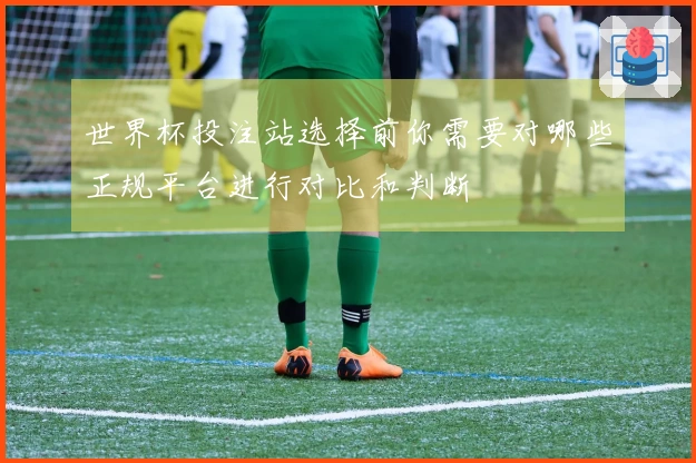 世界杯投注站选择前你需要对哪些正规平台进行对比和判断
