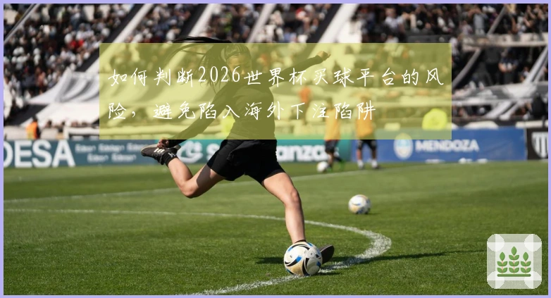 如何判断2026世界杯买球平台的风险，避免陷入海外下注陷阱