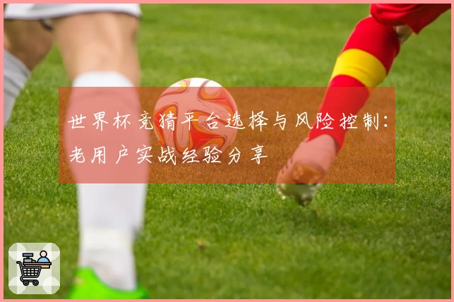 世界杯竞猜平台选择与风险控制：老用户实战经验分享