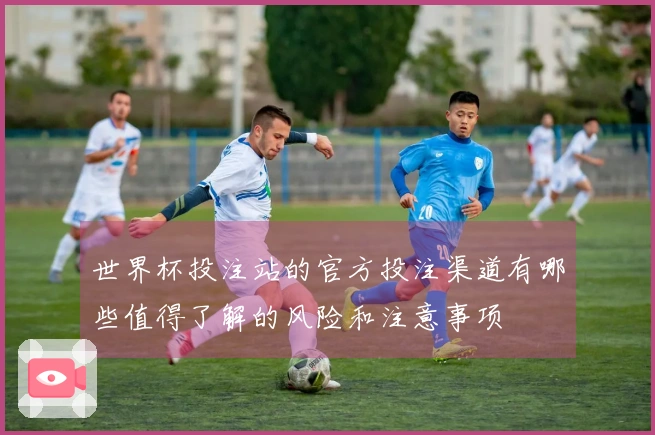 世界杯投注站的官方投注渠道有哪些值得了解的风险和注意事项