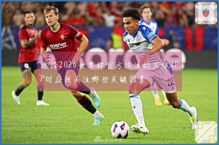 选择2026世界杯官方投注的买球APP时应该关注哪些关键因素