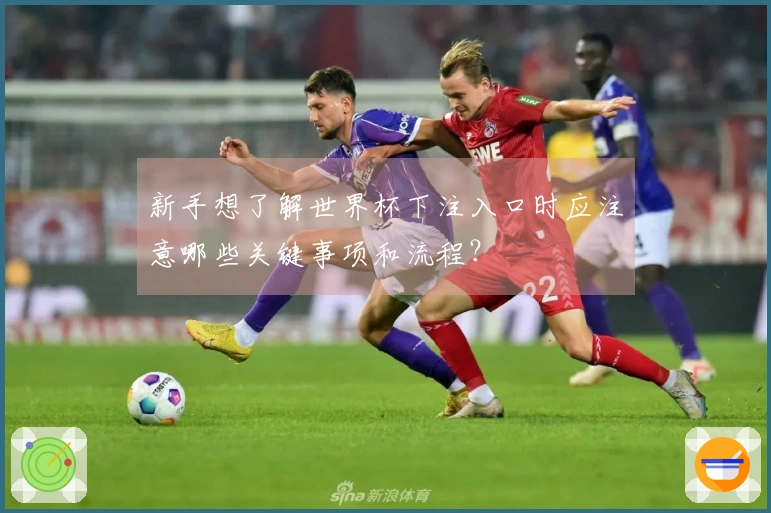 新手想了解世界杯下注入口时应注意哪些关键事项和流程？