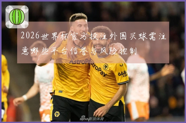 2026世界杯官方投注外围买球需注意哪些平台信誉与风险控制