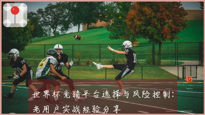 世界杯竞猜平台选择与风险控制：老用户实战经验分享