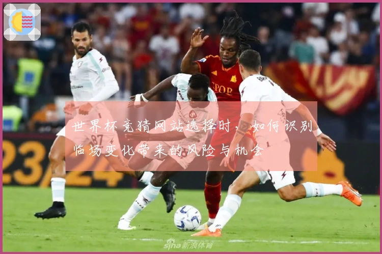 世界杯竞猜网站选择时，如何识别临场变化带来的风险与机会