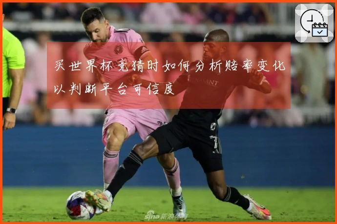 买世界杯竞猜时如何分析赔率变化以判断平台可信度