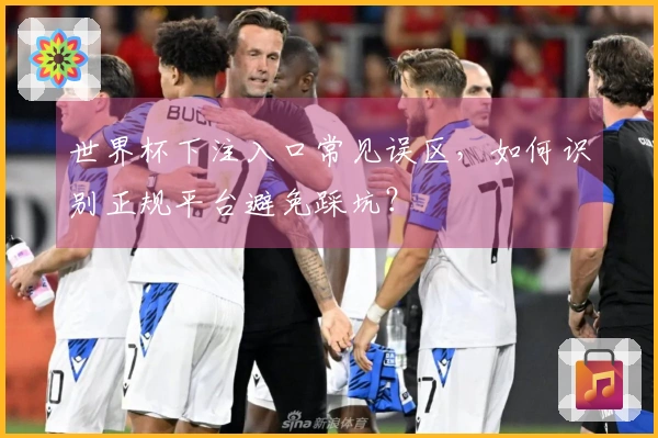世界杯下注入口常见误区，如何识别正规平台避免踩坑？