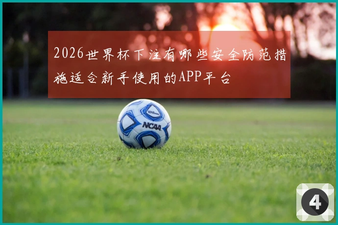 2026世界杯下注有哪些安全防范措施适合新手使用的APP平台