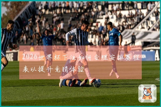 2026世界杯下注如何合理安排赛程表以提升竞猜体验