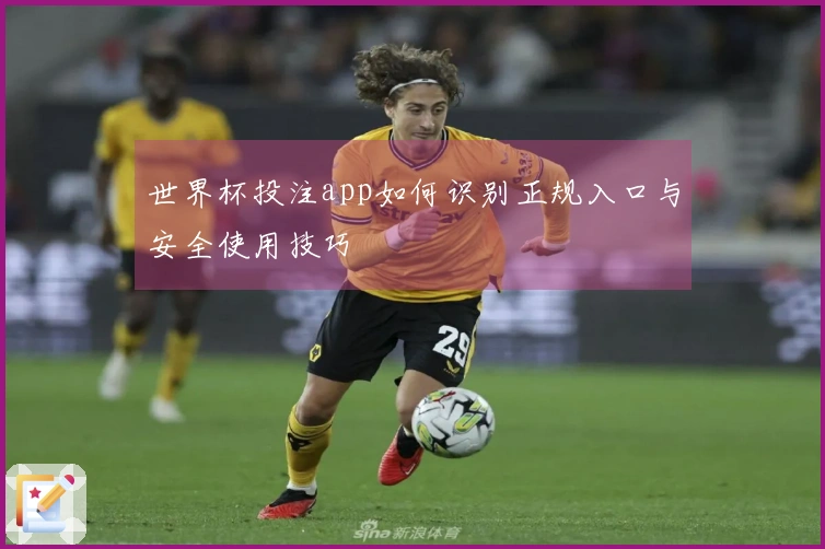 世界杯投注app如何识别正规入口与安全使用技巧