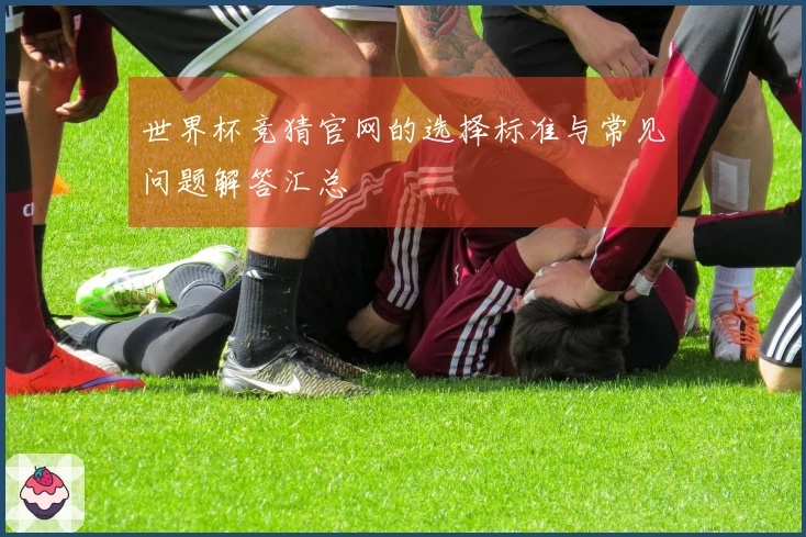 世界杯竞猜官网的选择标准与常见问题解答汇总