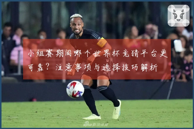 小组赛期间哪个世界杯竞猜平台更可靠？注意事项与选择技巧解析