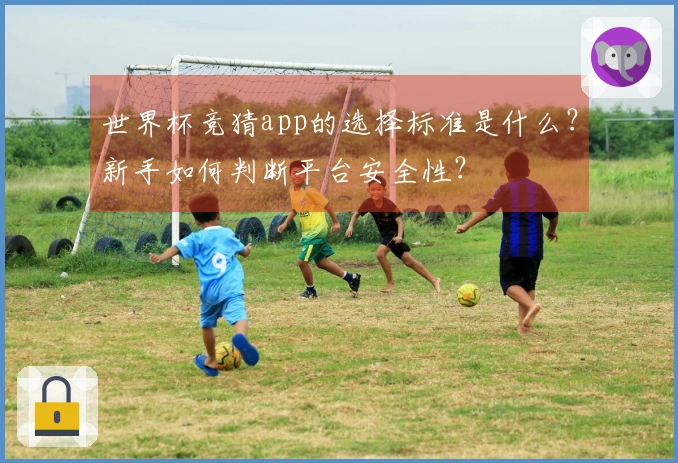 世界杯竞猜app的选择标准是什么？新手如何判断平台安全性？