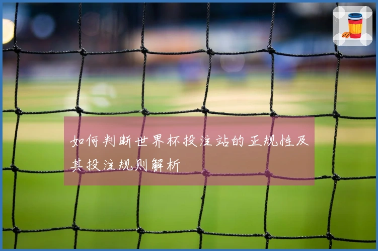 如何判断世界杯投注站的正规性及其投注规则解析