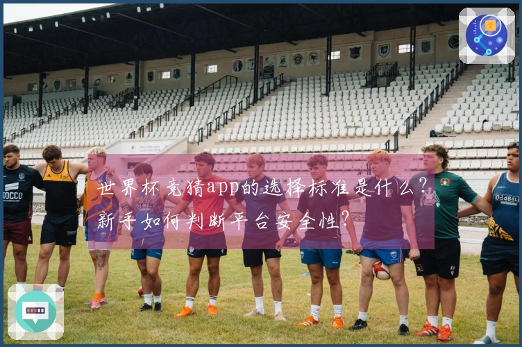 世界杯竞猜app的选择标准是什么？新手如何判断平台安全性？