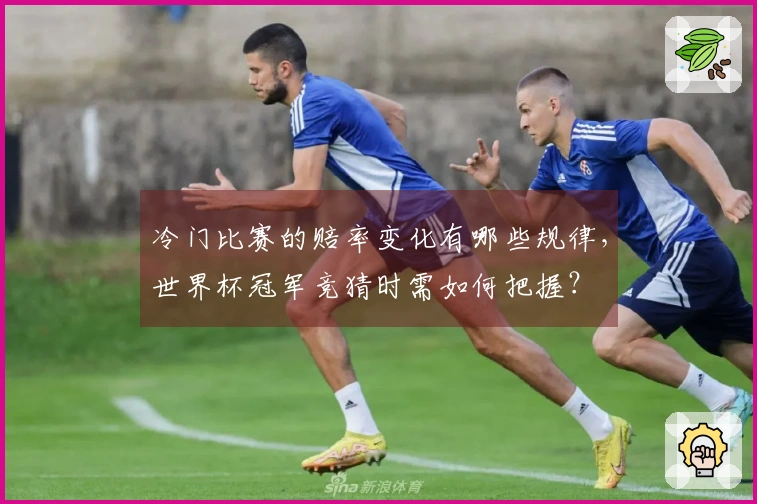 冷门比赛的赔率变化有哪些规律，世界杯冠军竞猜时需如何把握？