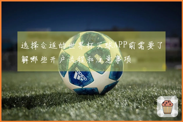选择合适的世界杯买球APP前需要了解哪些开户流程和注意事项