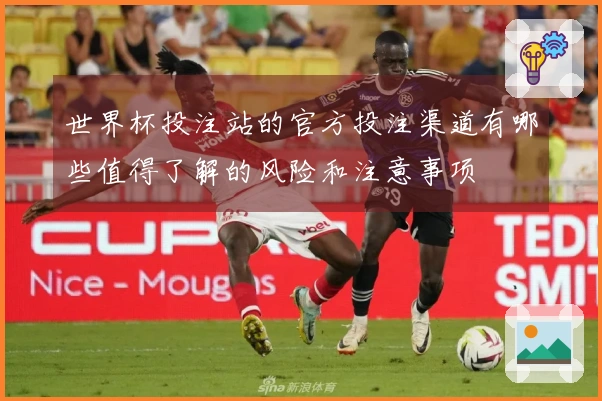 世界杯投注站的官方投注渠道有哪些值得了解的风险和注意事项